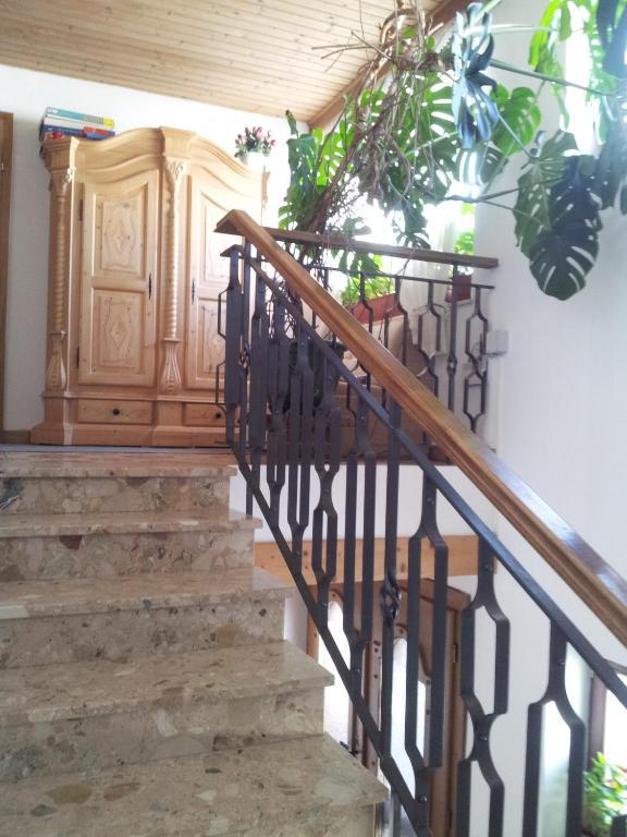 סנט יוהן אין טירול Appartement Fischer מראה חיצוני תמונה